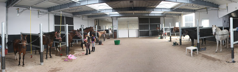 Paardenwinkel Paardenwinkel QUUS