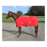 Deken Fleece Color Met Singels Fel Rood qhp-6121-ro