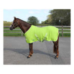 Deken Fleece Color Met Singels Lime qhp-6121-li
