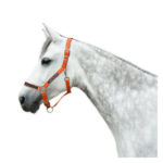 Chetaime Safety-First Halster Oranje
