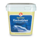 Equivital Electrolyten 1 Kg