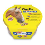 Liksteen Horslyx Garlic Mini