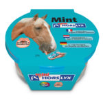 Liksteen Horslyx Mint Mini