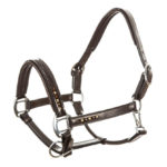 Halster Leer Lavarre Brown-Brown Croco