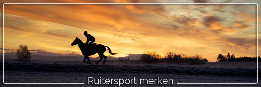 ruitersport merken