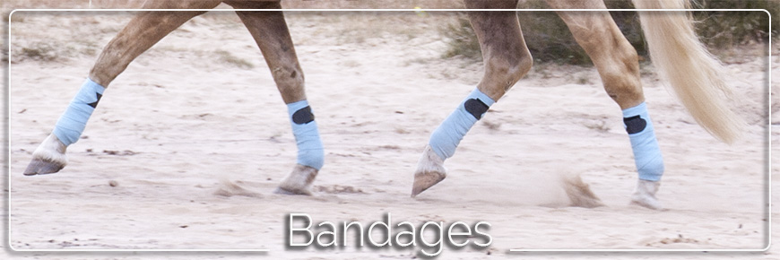 bandages paard