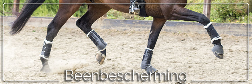beenbescherming
