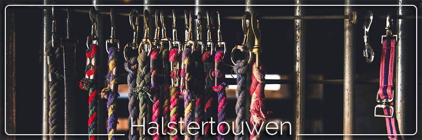 Halstertouw
