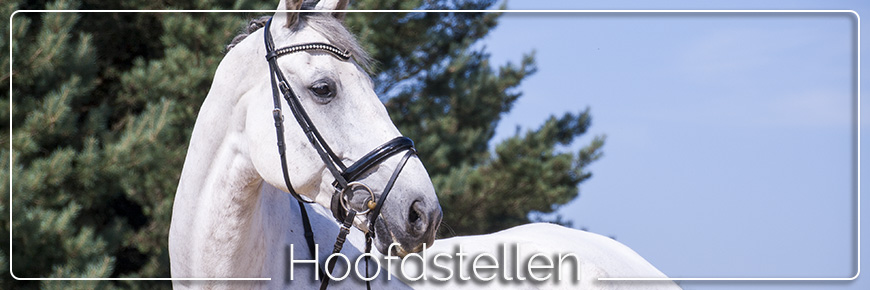 hoofdstellen