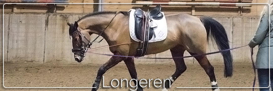 longeren