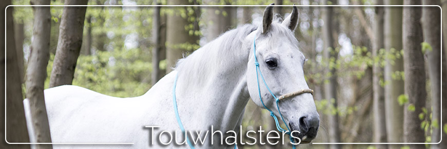 touwhalsters