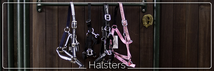 Hippe halsters vind je bij QUUS