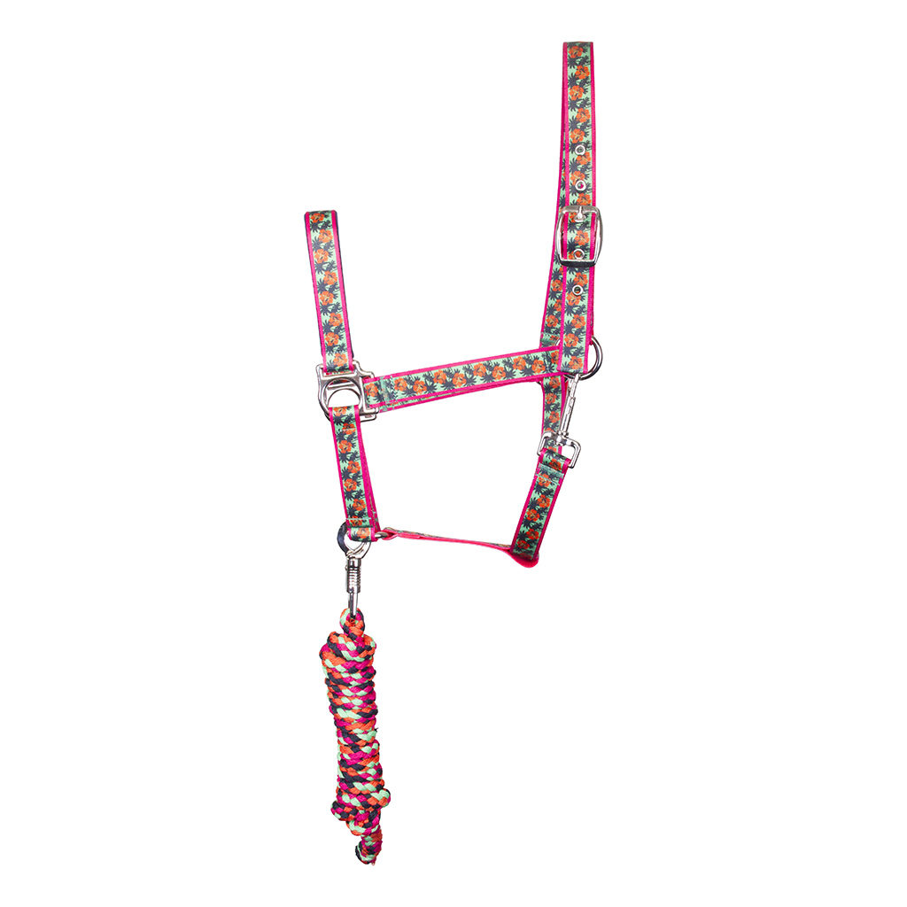 hv-polo-headcollar_and_rope_delmar_carmin_rose_cob_size_3