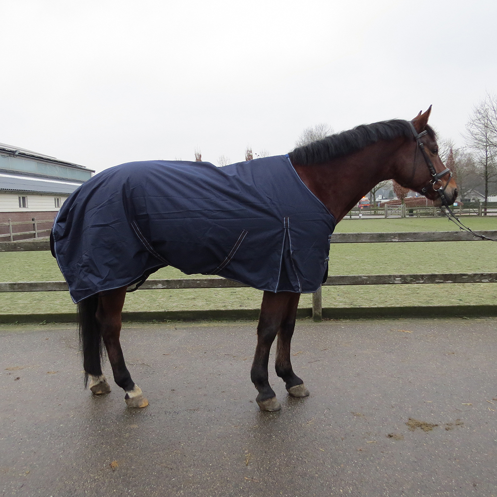 Sociaal Groene bonen nooit Sectolin winterdeken kopen? • QUUS.nl