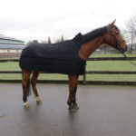 inperial-riding-onderdeken-fohn