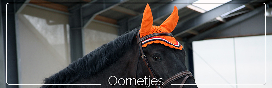 oornetje-paard