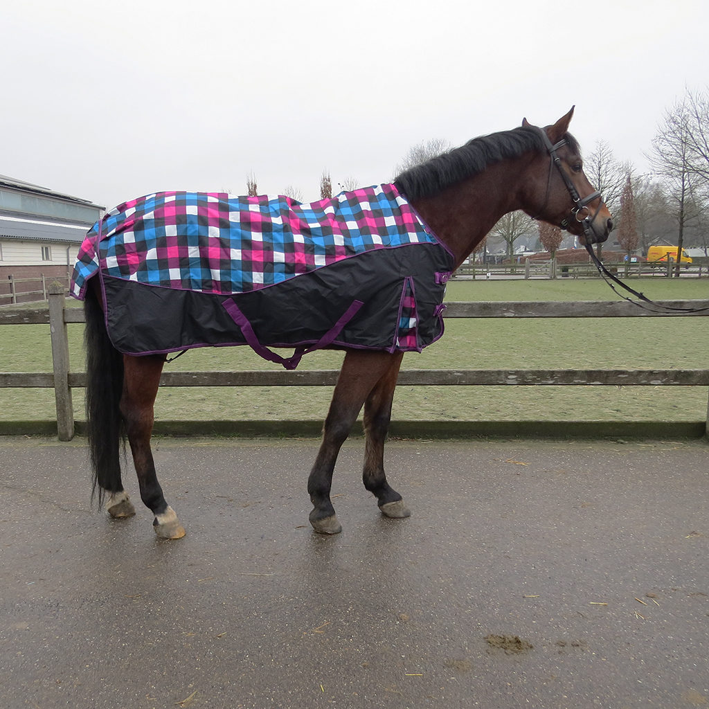 qhp-turnout-rug-luxury-block