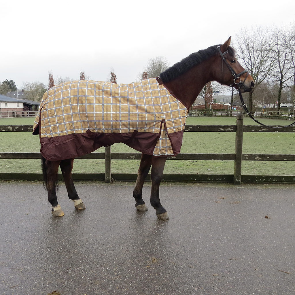 sectolin-winterdeken-glamour