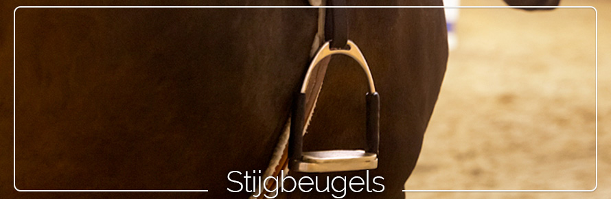 stijgbeugel