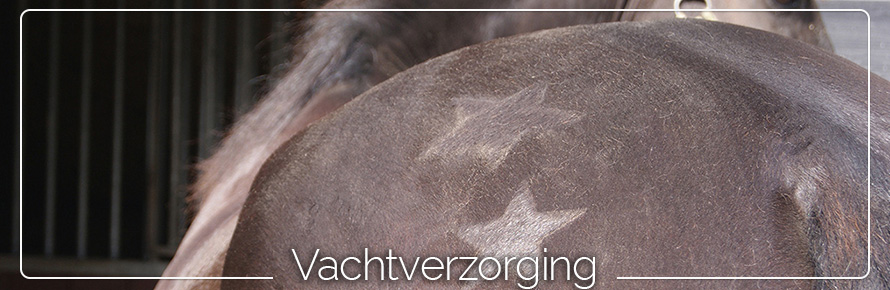 vachtverzorging