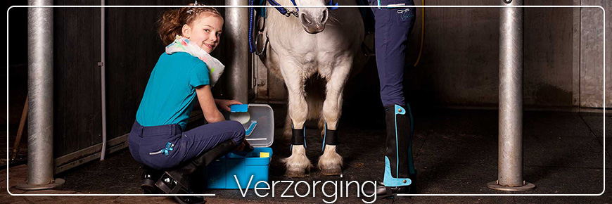 verzorging-paard
