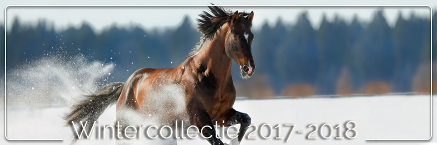 Wintercollectie 2017-2018