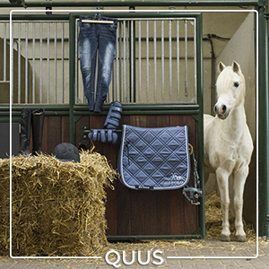 onderdak behang Blind 15+ Leukste & Mooiste Paarden Setjes • QUUS.nlg