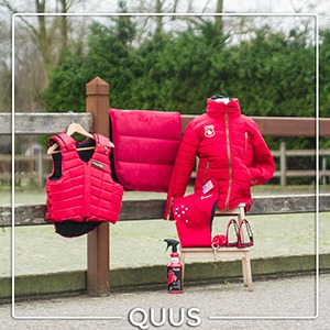 onderdak behang Blind 15+ Leukste & Mooiste Paarden Setjes • QUUS.nlg