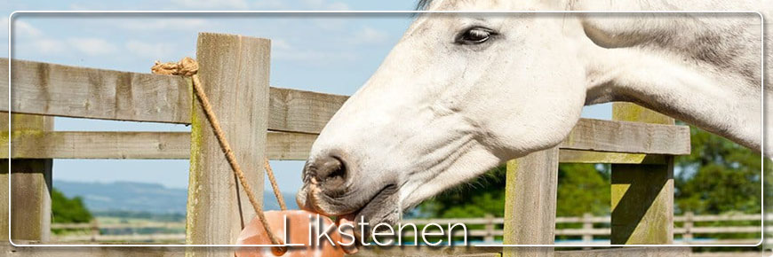 Likstenen