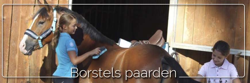 borstels paard