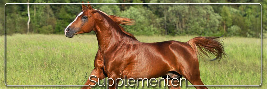 suplementen